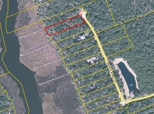 101 Bridle Ridge Ct, Flagler Beach, FL 32136