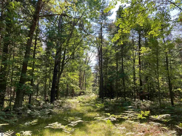 N/a Perry Holt Rd, West Branch, MI 48661