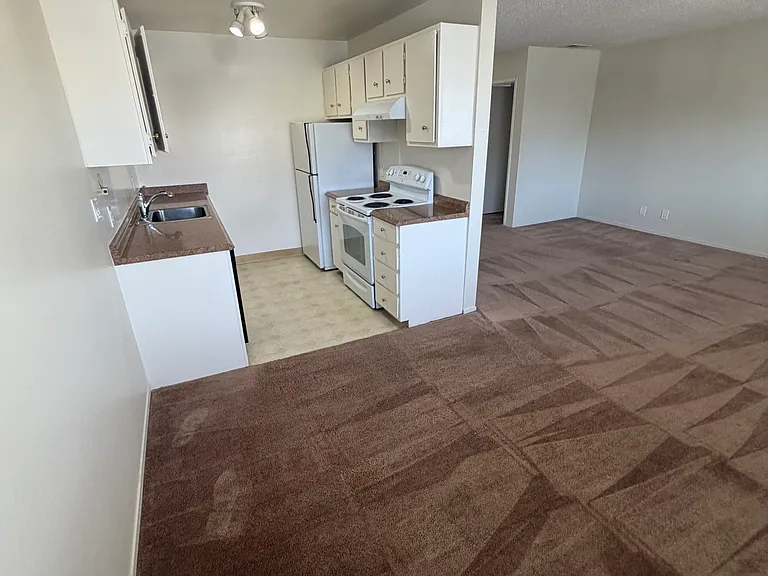 1450 Southgate Ave — Photo 8