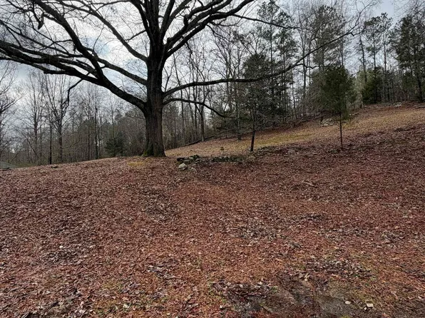 363 Oak Ridge Dr #1, Oneonta, AL 35121