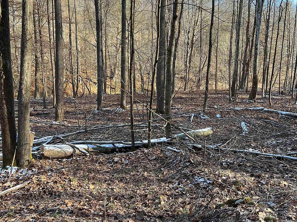 0 Glassworks Rd Buckhannon WV Zillow