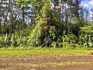 2nd image of Kapu Ln Lot 182