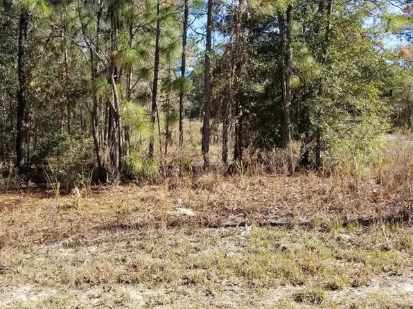 7163 N Glenridge Cir, Citrus Springs, FL 34434