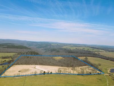 Golden Pond Ln, Witts Springs, AR, 72686