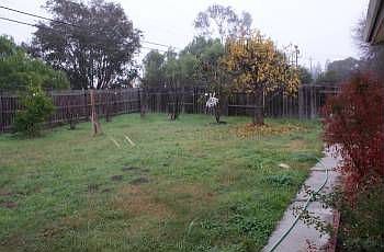 2nd image of 3824 Savannah Rd