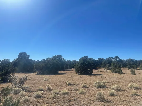 Ojo De La Vaca Trl, Santa Fe, NM 87508