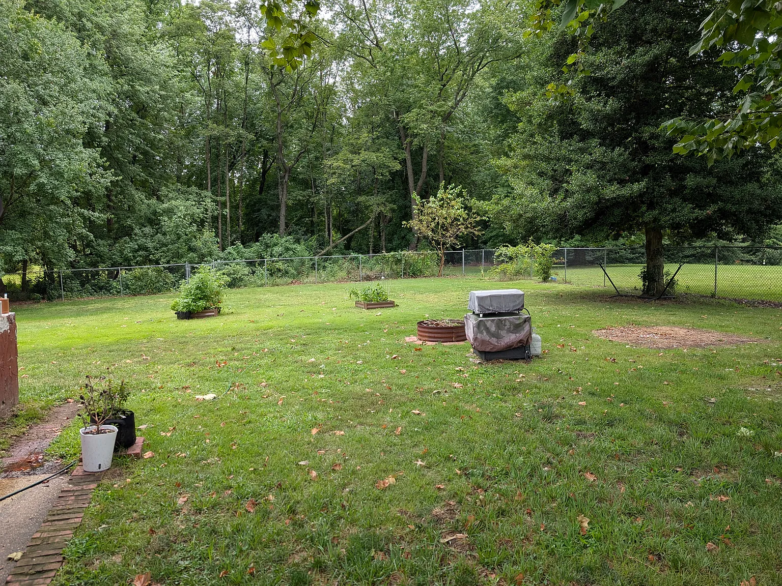 2 bed, 1180 sqft, $3,000 — Photo 3