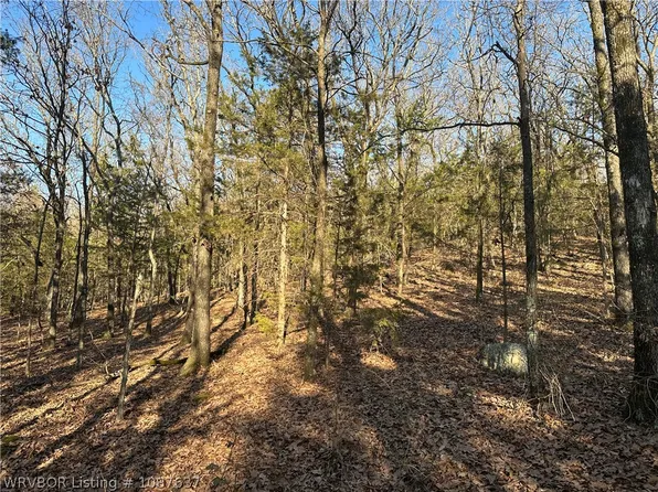 28734 Skyridge Ln, Heavener, OK 74937