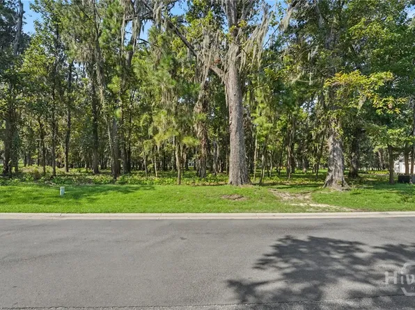 183 Little Lulu Lane, Richmond Hill, GA 31324