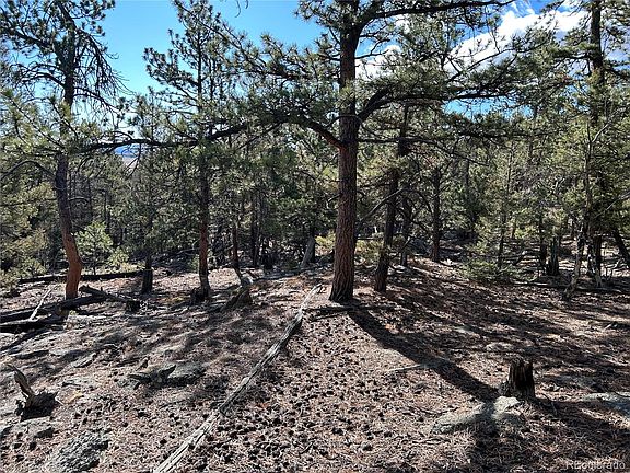 4th image of 1581 Bellows Road LOT 1464