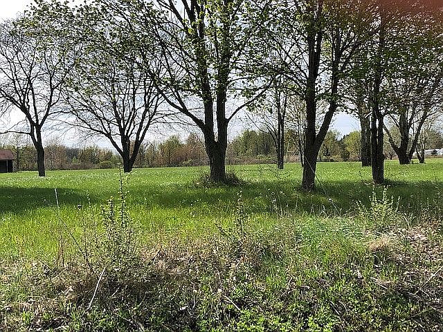 2nd image of 4906 Marsh Rd Parcel 1