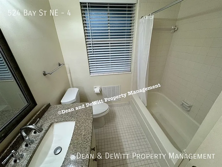 524 Bay St NE #4 — Photo 11