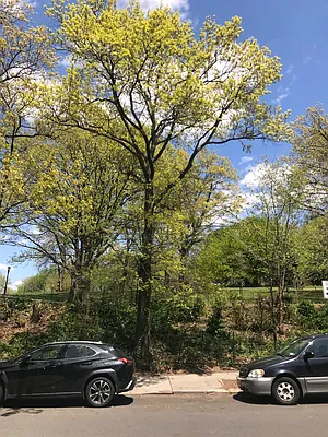 Rented by Jabour Realty Company | media 13