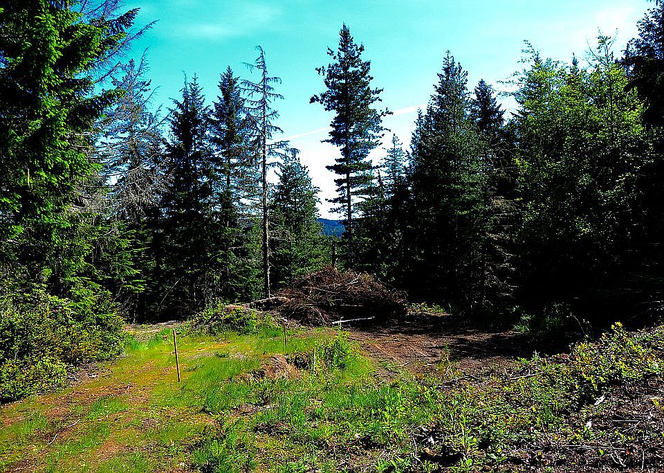 Build site from driveway