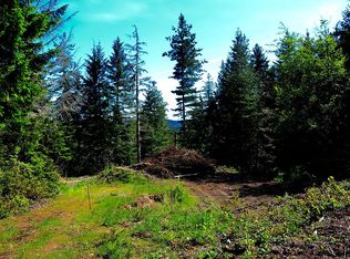 151 NE Capstan Rock Rd, Tahuya, WA 98588
