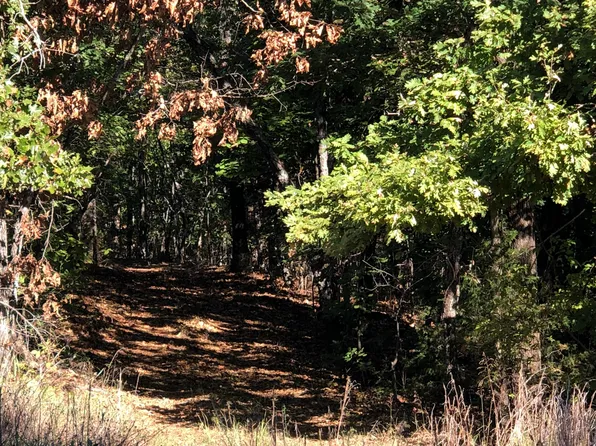 Tbd County Road 246, Couch, MO 65690