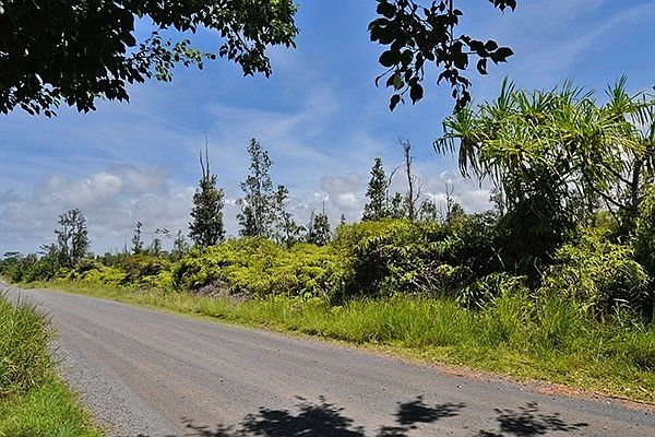 1st image of 1st Ave Lot 2903