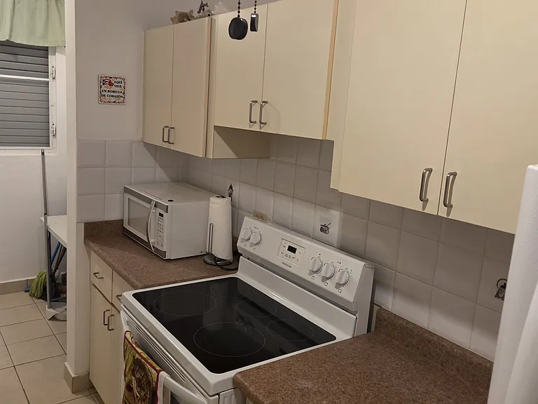 302 Condo Puerta Buye 302 — Photo 10