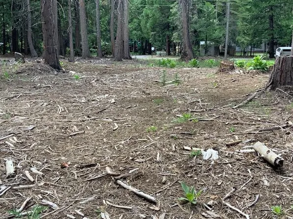 (undisclosed Address), Shingletown, CA 96088