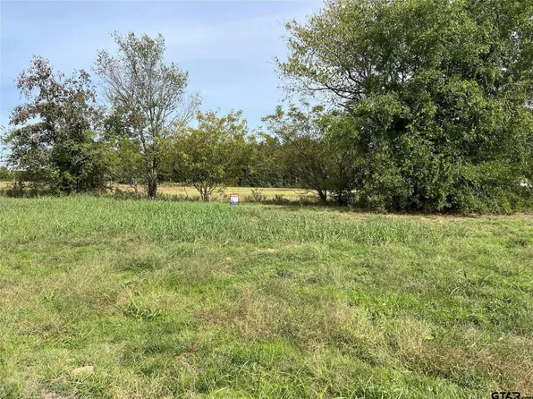 Tbd S Highway 271, Pittsburg, TX 75686