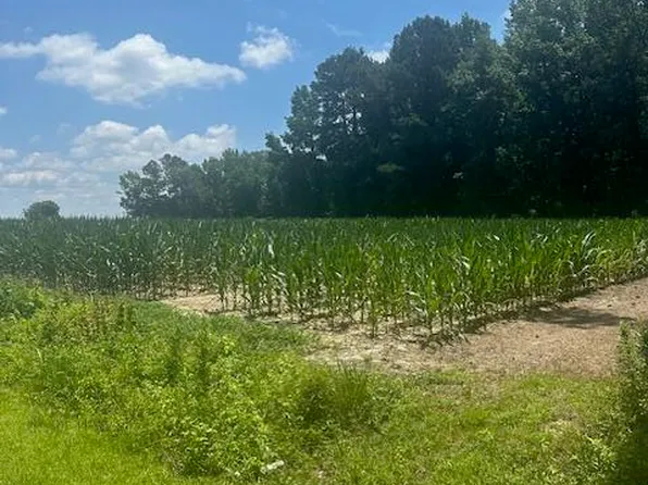 Near 721 Joe Piver Road, Chadbourn, NC 28431