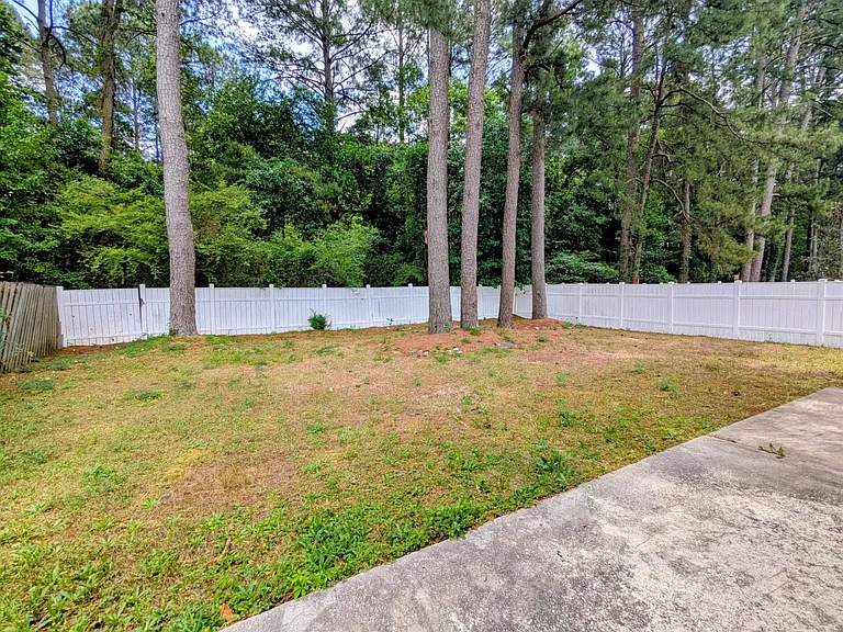 127 Towering Pine Dr — Photo 19