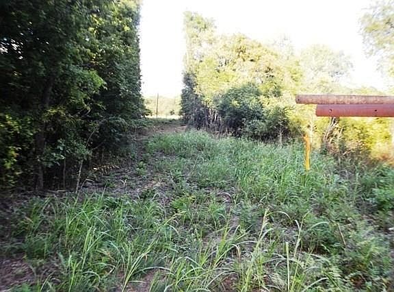 2nd image of 35129 Ew 1390