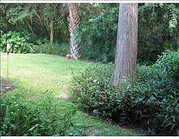 2nd image of 105 Cypress Ln
