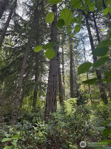 11717 Mill Place, Anderson Island, WA, 98303