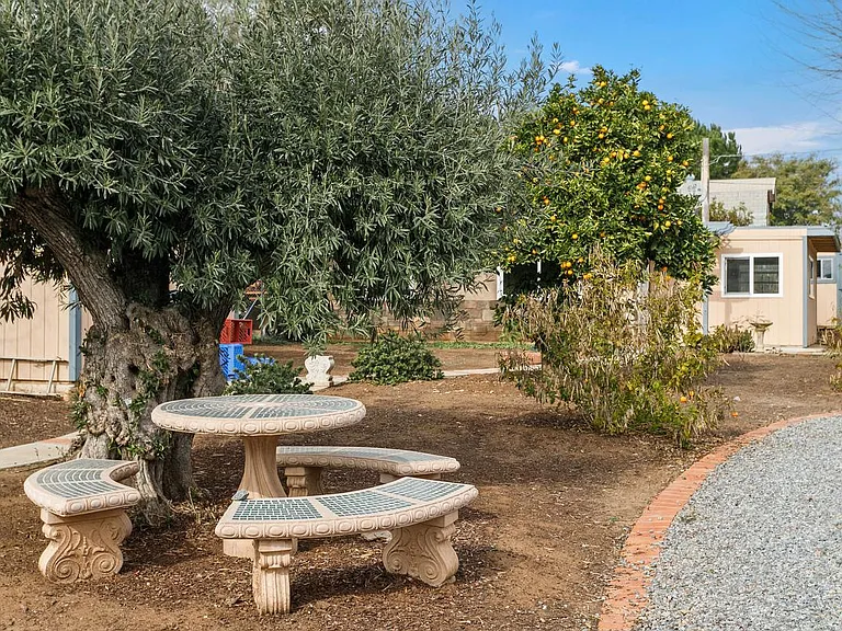 Beautiful property with orange, lemon and olive trees