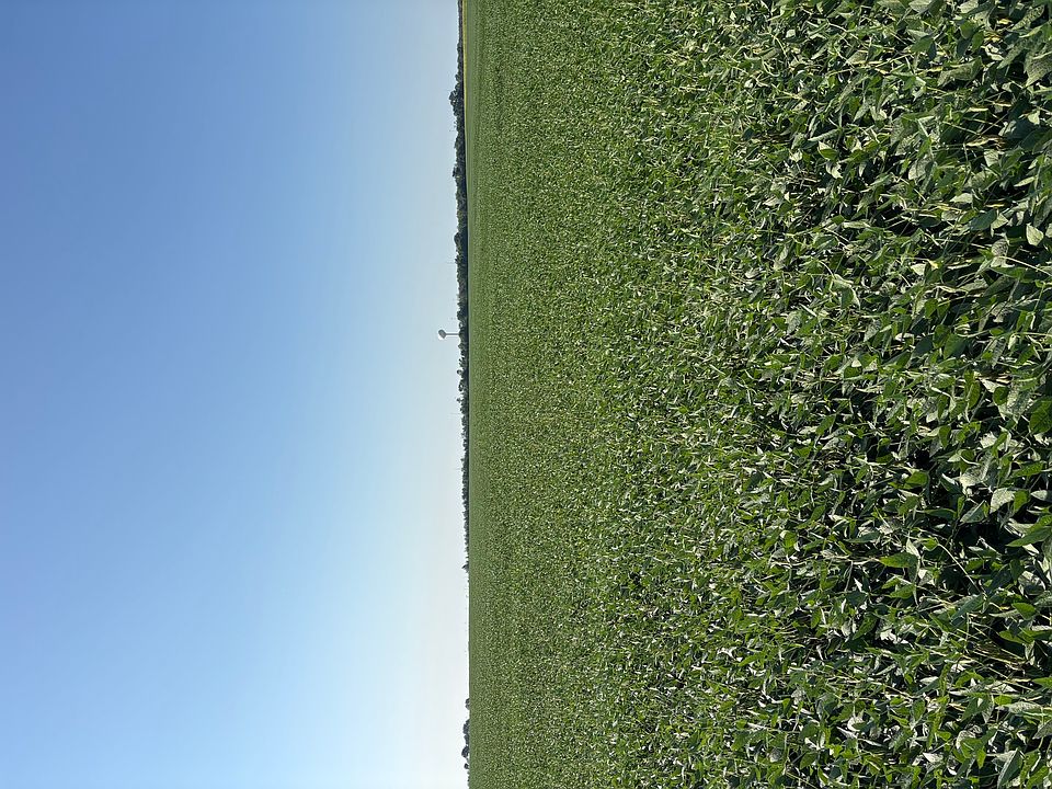 2nd image of 0 N 2400 East Rd