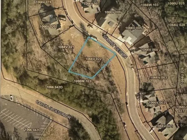 50 Summit View Dr, Ellijay, GA 30540