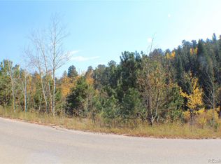 2012 Shelton Drive LOT 11, Bailey, CO 80421
