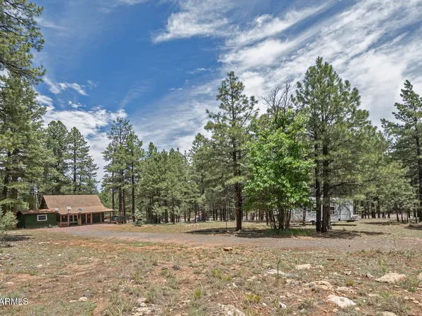 2132 W Pine Valley Road, Happy Jack, AZ 86024