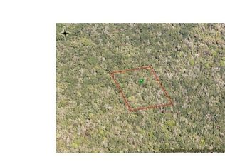 Cape Atlantic Est LOT 252, Oak Hill, FL 32759