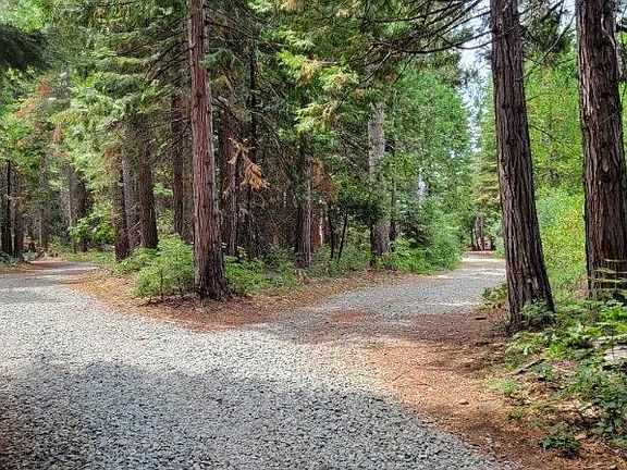 3rd image of 27035 N Bloomfield Rd