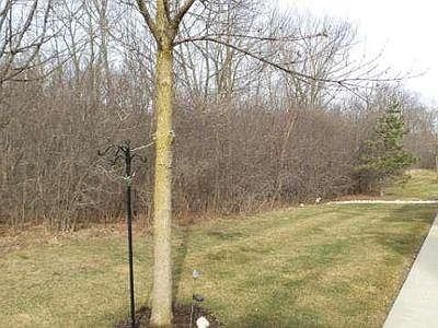 Private wooded area adjacent to unit