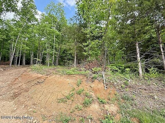 4th image of Lots 1 5 Bear Creek Rd