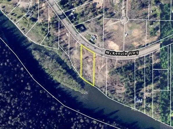49280 McKenzie Hwy, Vida, OR 97488
