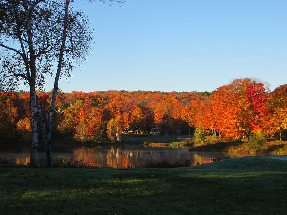 1272 Opal Lake Rd, Gaylord, MI 49735 Zillow