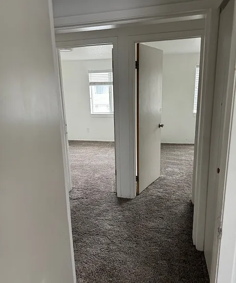 242 E Center St S #242 — Photo 19
