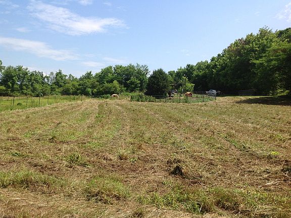 3rd image of 779 Old Harriman Hwy Lot 4
