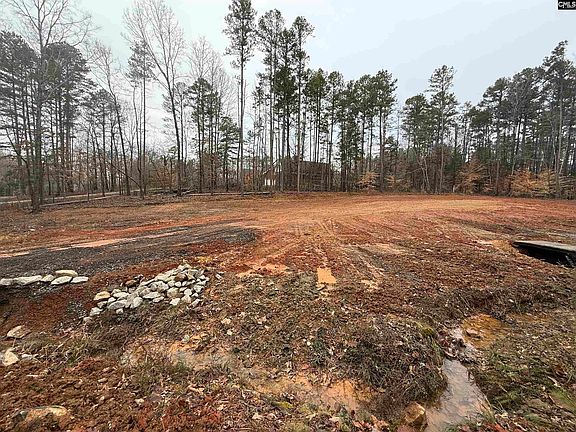 3rd image of Wilderness Ln