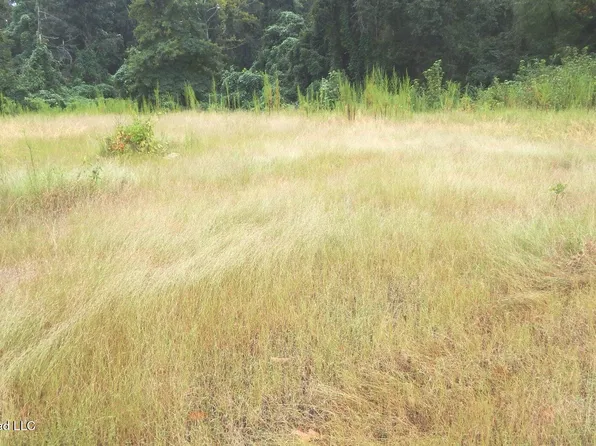 3442 Phelps Rd, Courtland, MS 38620