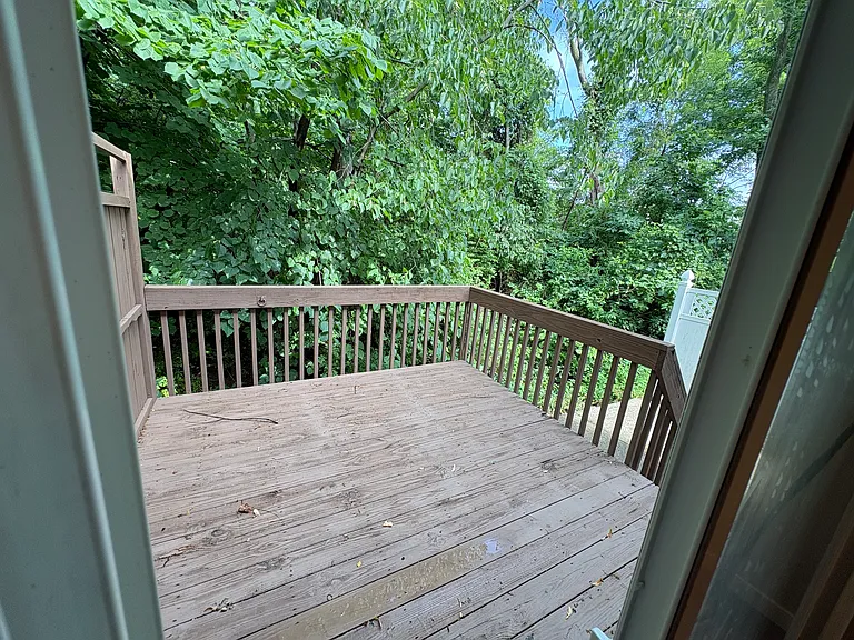 Back Deck