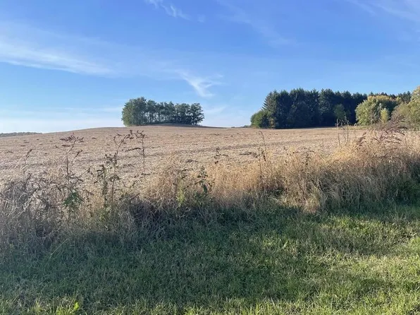 TBD Borah Road, Fennimore, WI 53809