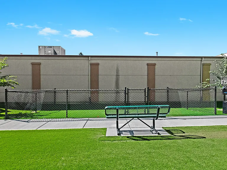 Dog park