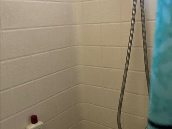 4th image of 711 W Manhattan Ave #2