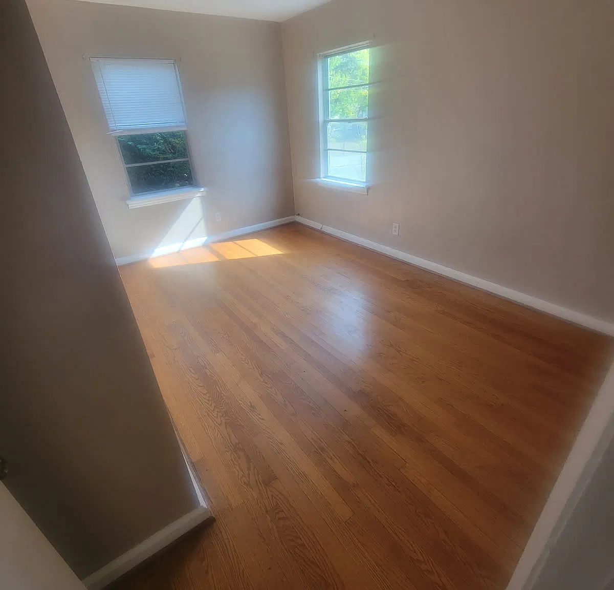 2 bed, 800 sqft, $1,100 — Photo 2