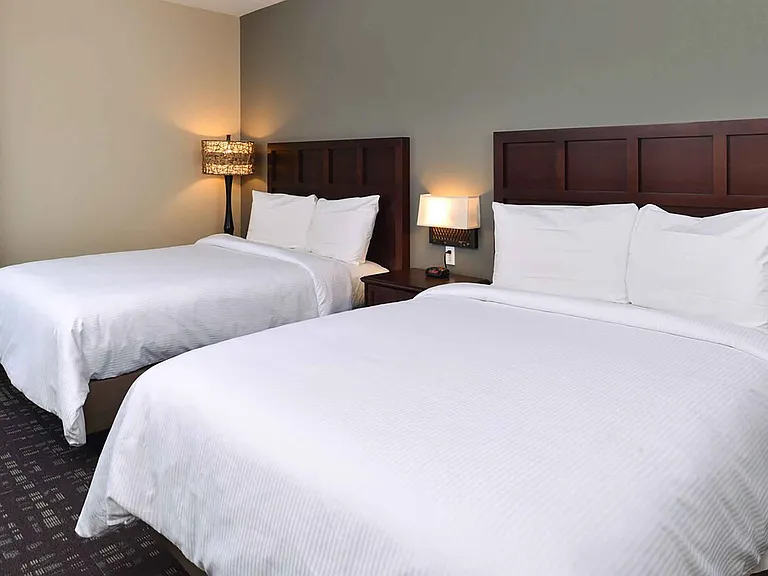 Studio Suite - 2 Queen Beds